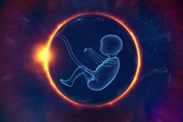 泰国试管婴儿成功率与费用？如何平衡选择