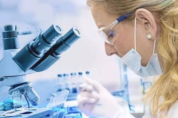 泰国试管婴儿如何选择合适的医疗机构？专家分享挑选要点